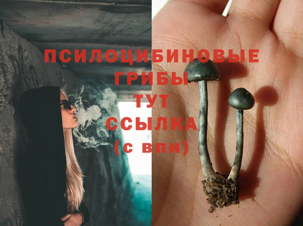 марки nbome Алзамай