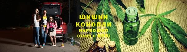 гидра Алексин