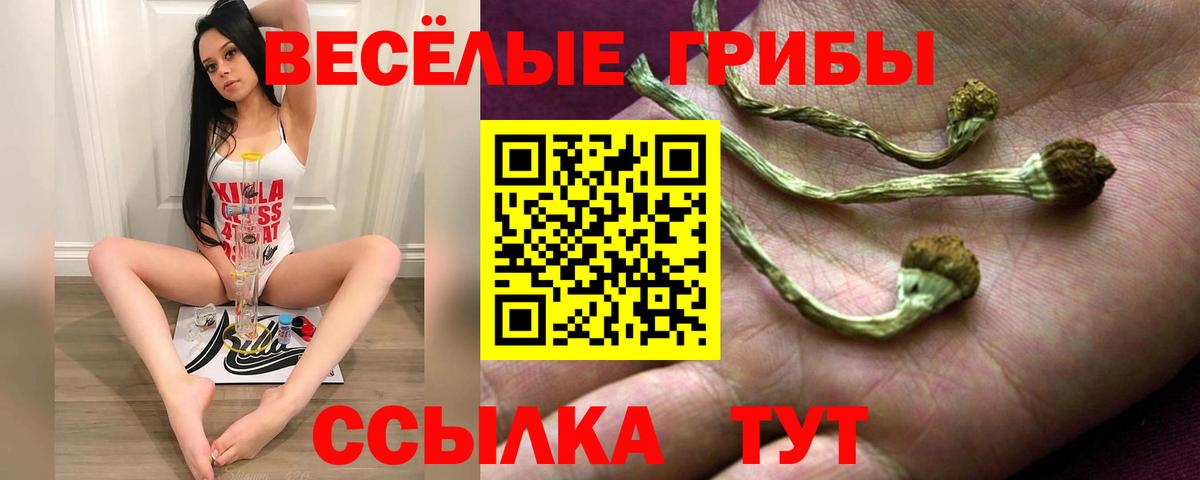 Севастополь  Галлюциногенные грибы мухоморы  Вход с VPN 