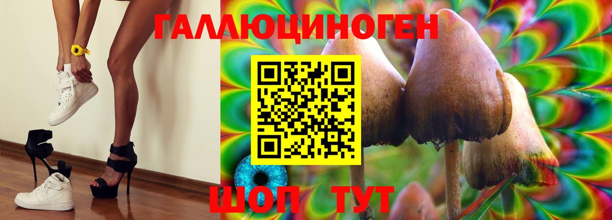 Галлюциногенные грибы Cubensis Севастополь