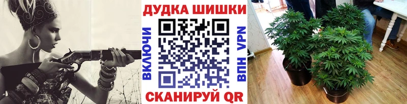 Марихуана OG Kush  Севастополь 